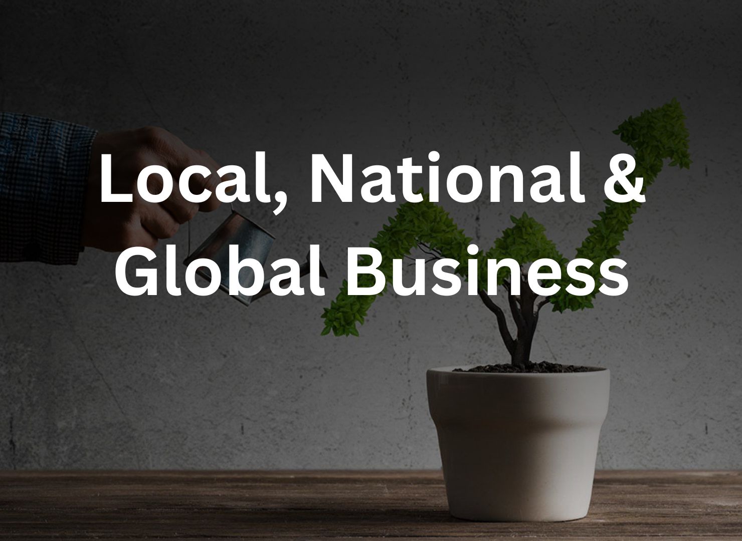 Digital Junkee is leading digital marketing agency